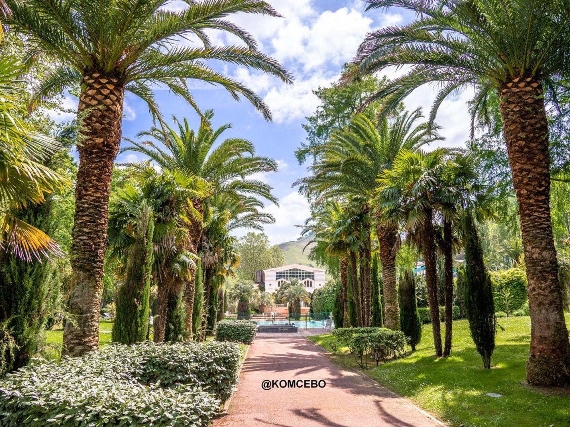 Appartement T1 Bis Avec Terrasse Et Piscine A Cambo-Les-Bains, 1 Chambre, Parking Prive - Fr-1-495-4 المظهر الخارجي الصورة